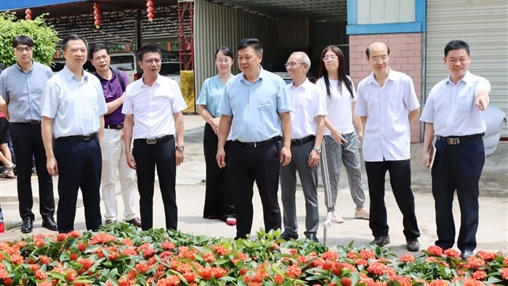 自治區(qū)政協(xié)常委、梧州市政協(xié)主席黃振饒蒞臨百裕集團(tuán)走訪調(diào)研